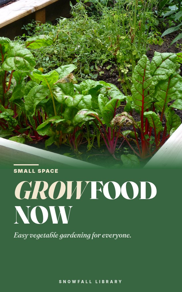Small Space Vegetable Gardening: Grow Food in Pots, Raised Beds & Indoors cover