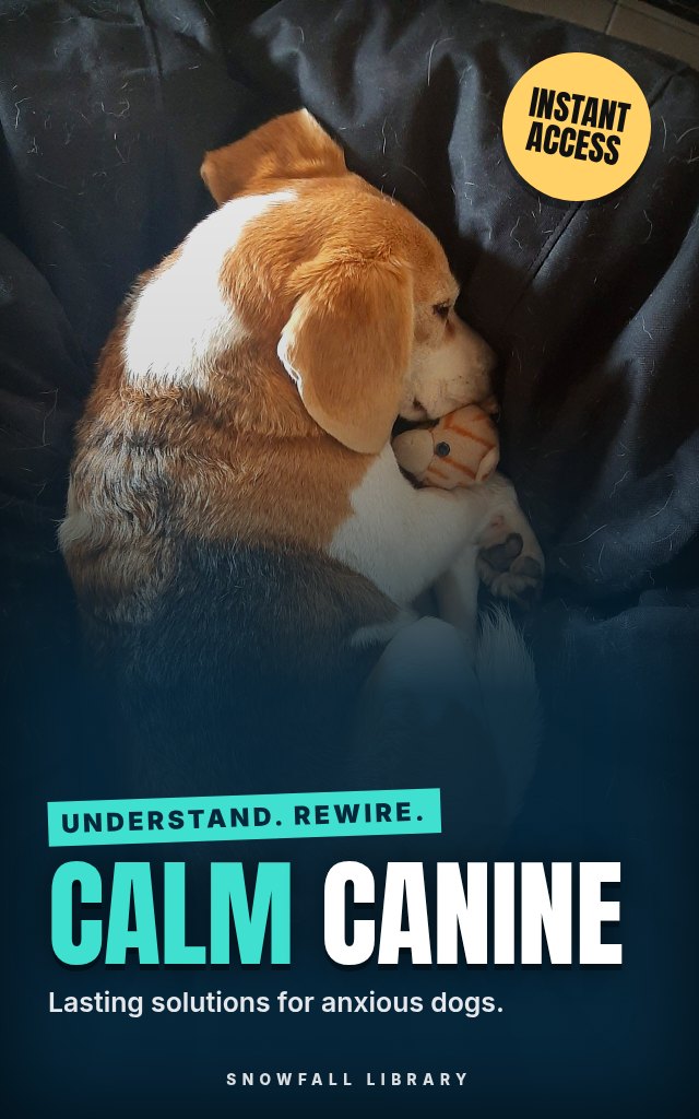 Rewired: A Neuroscience-Based Guide to Calming Your Anxious Dog cover
